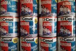 Cesal Aurora nemesvakolat kis kiszerelésben is.